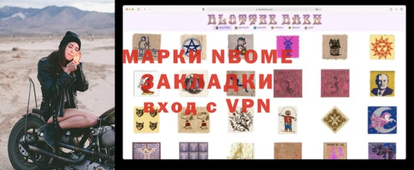 PSILOCYBIN Новозыбков