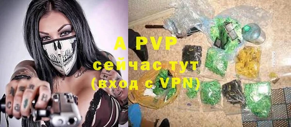дживик Новодвинск