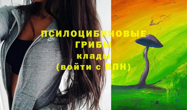 PSILOCYBIN Новозыбков