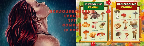 apvp Нефтегорск